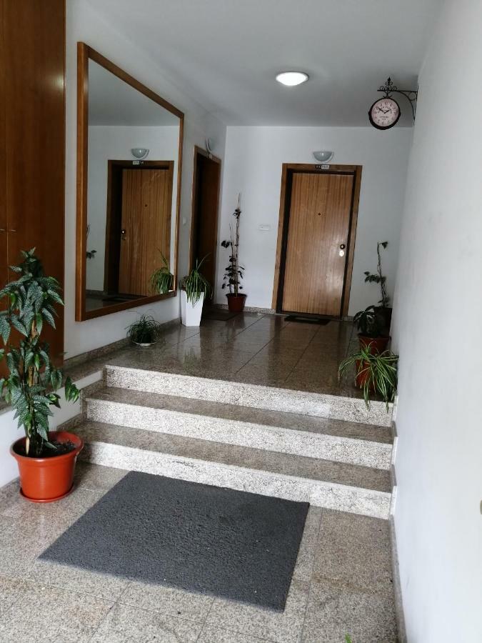 Congidouro Apartment เฟรโซ เด เอสปาดา ซินตา ภายนอก รูปภาพ